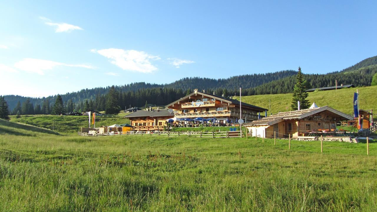 Suite mit 1 Schlafzimmer